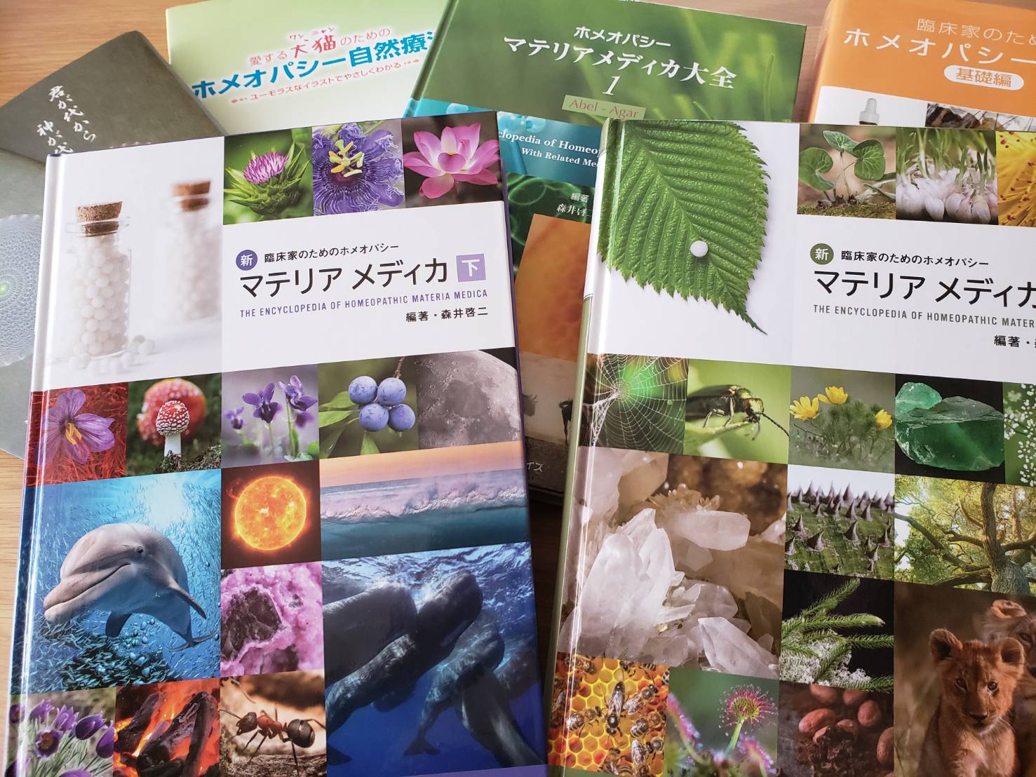 送料込 ホメオパシー レメディー TBR MATERIA MEDICA ＋ 日本語 版 